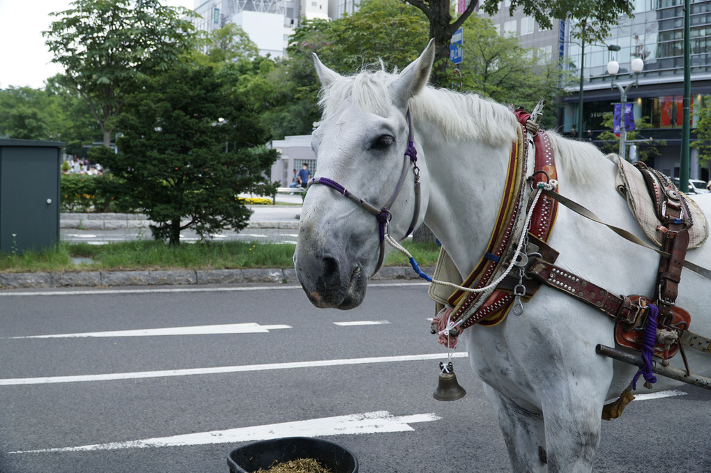 よく晴れた日に