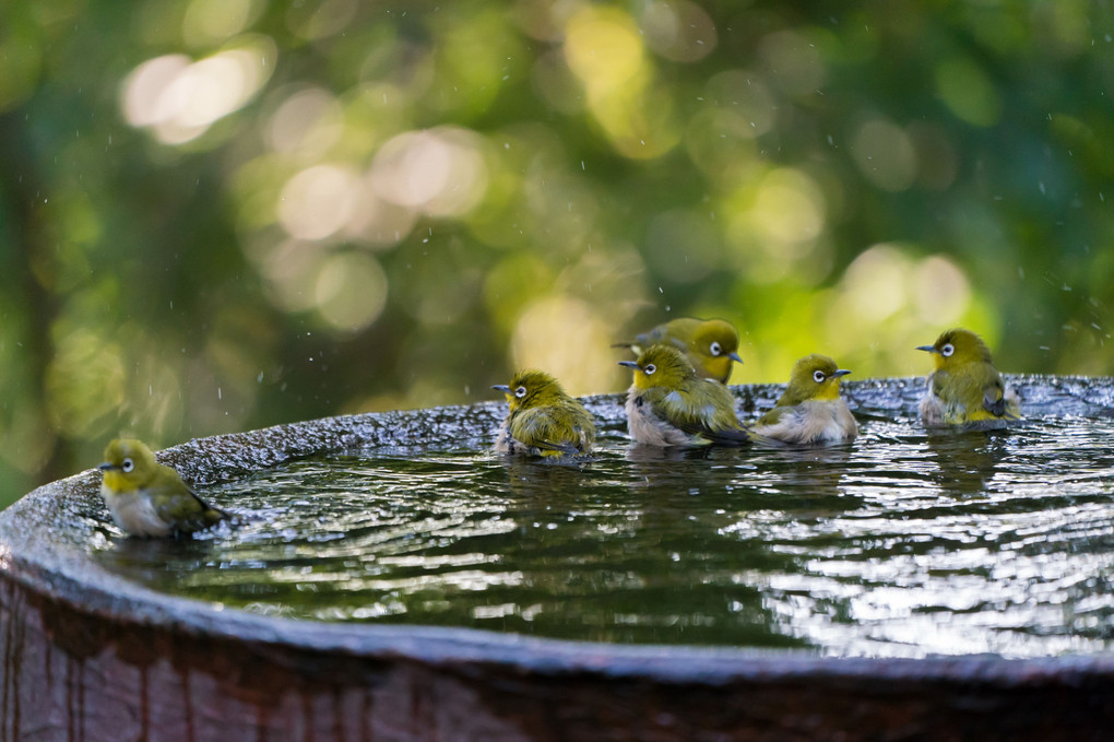 Bath Time