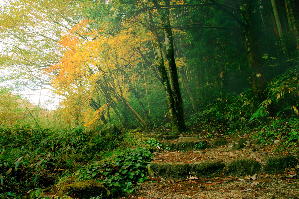 秋の中山道
