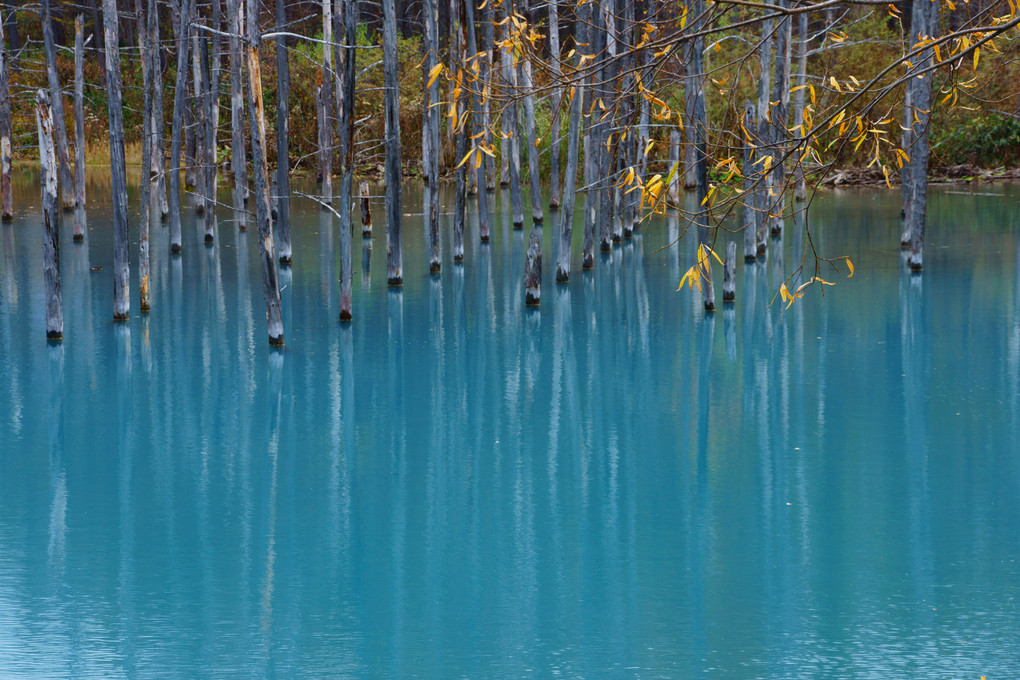 BLUE LAKE in autumn