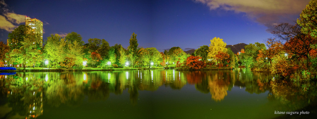 中島公園の紅葉夜景　パノラマ