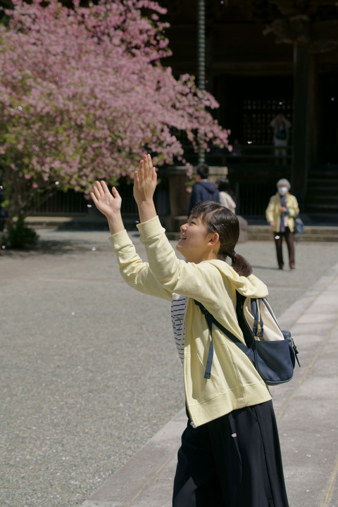 桜の季節も終わります。