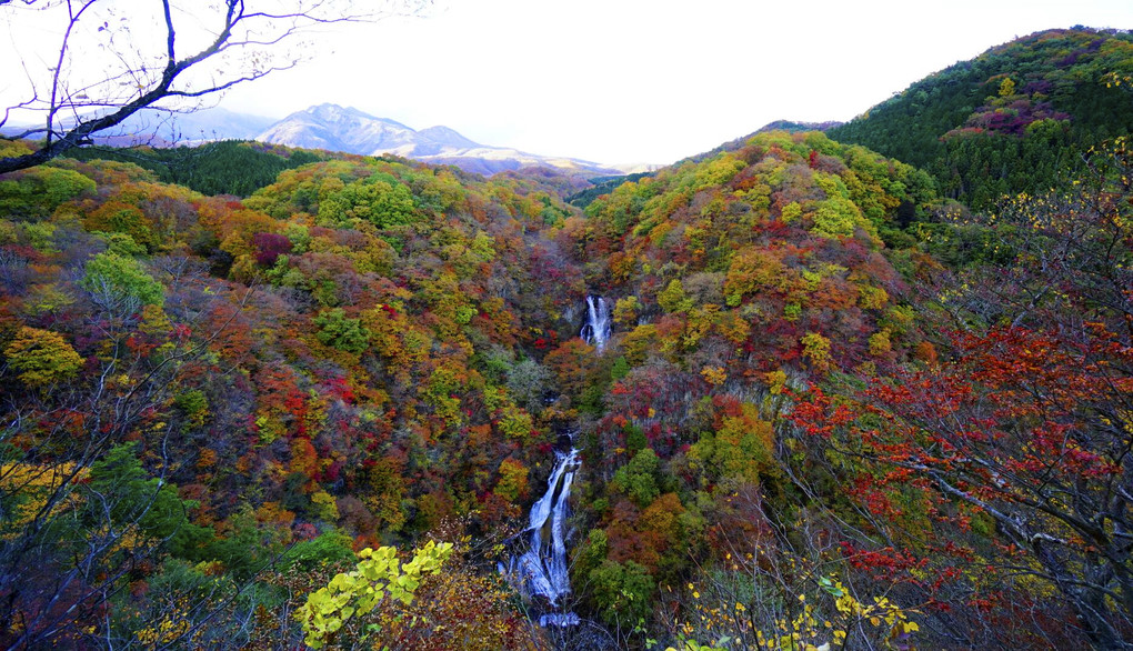 霧降の滝