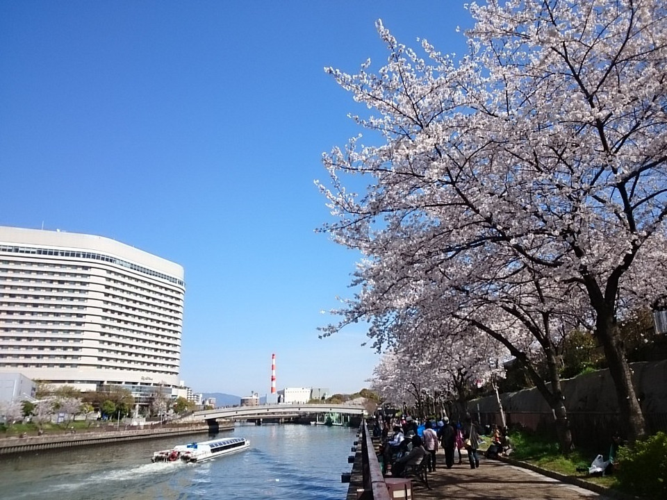 大阪城の桜とボート