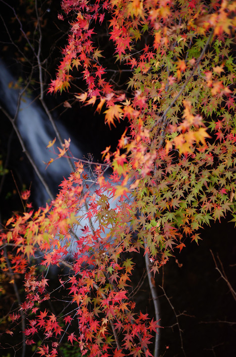 箕面の滝と紅葉