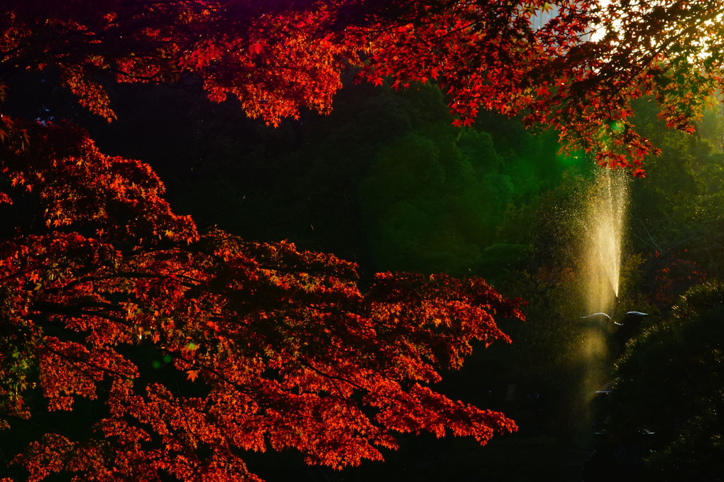 日比谷公園の噴水と紅葉