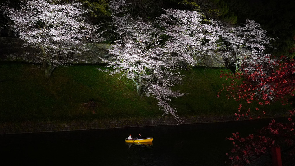 夜桜と黄色のボート