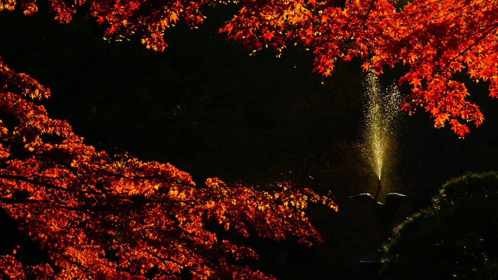 日比谷公園　紅葉と噴水