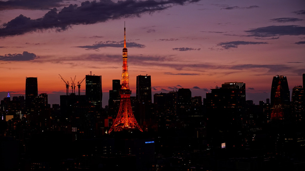 大雨の後の夕焼け東京タワー