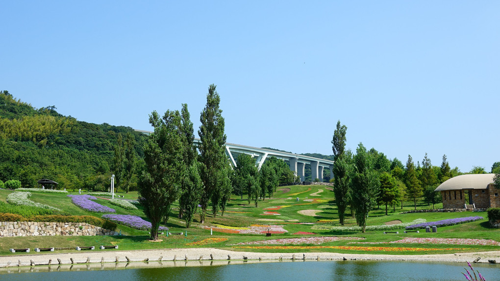 平成最後の夏 酷暑の下で咲く花（国営明石海峡公園）