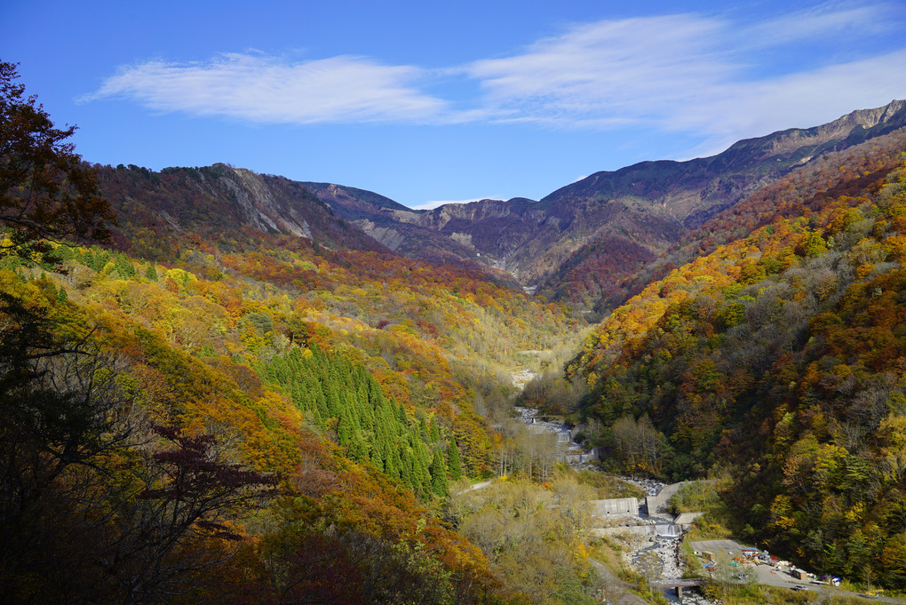 紅葉真っ盛り