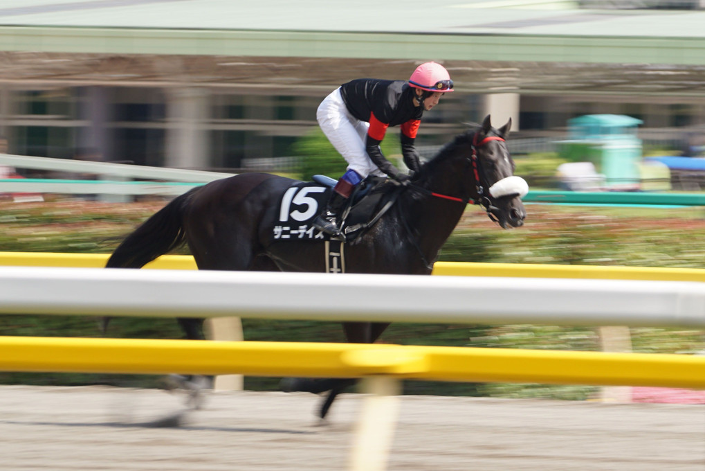 競馬の流し撮り