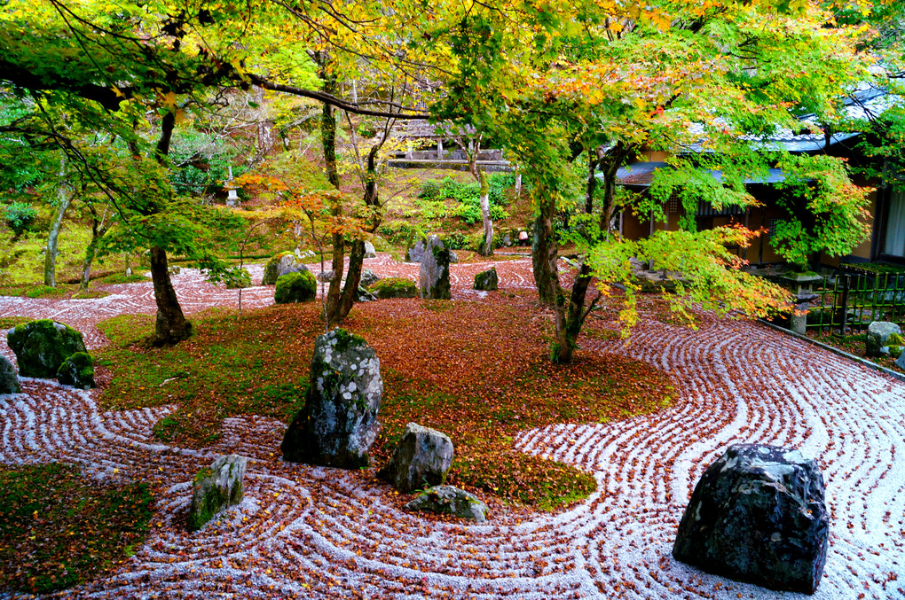 秋の光明禅寺　三景