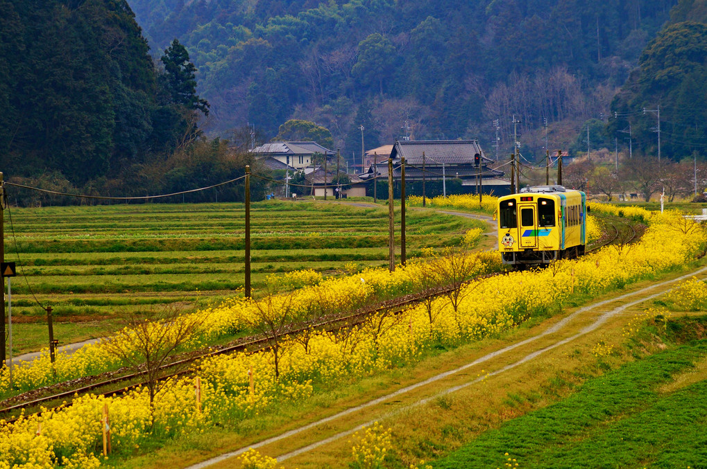 春の平成筑豊鉄道　2017