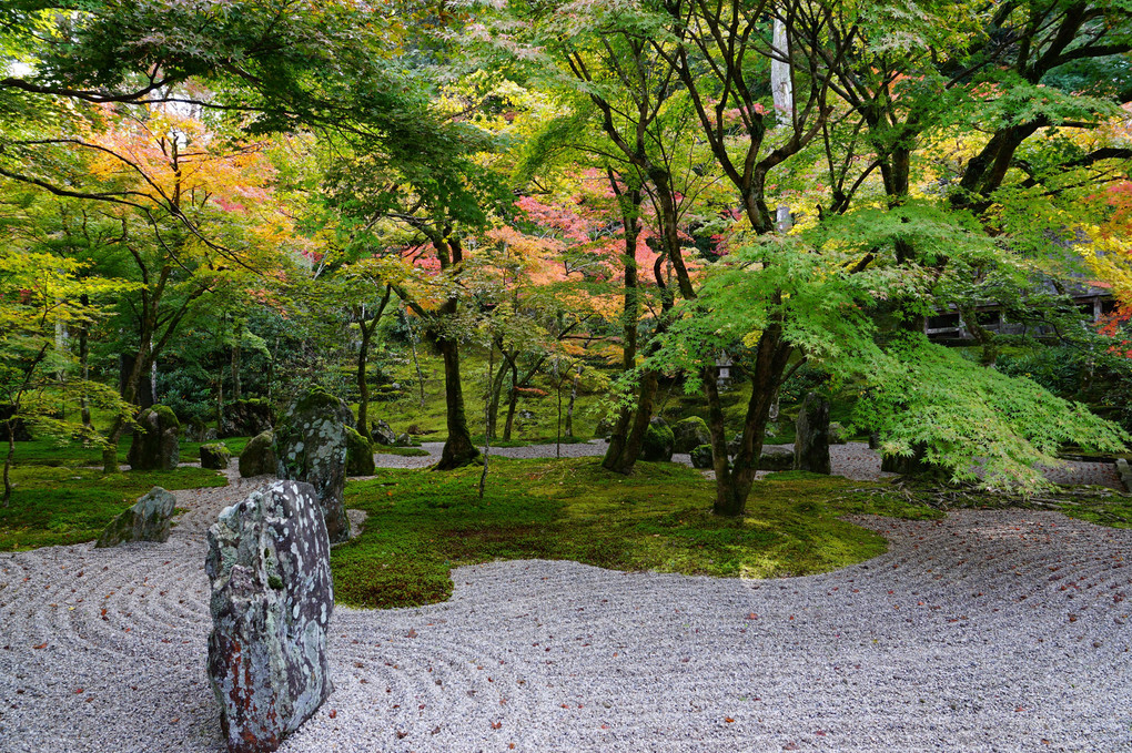 光明禅寺2016