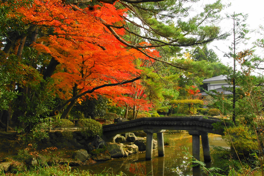 秋の庭園