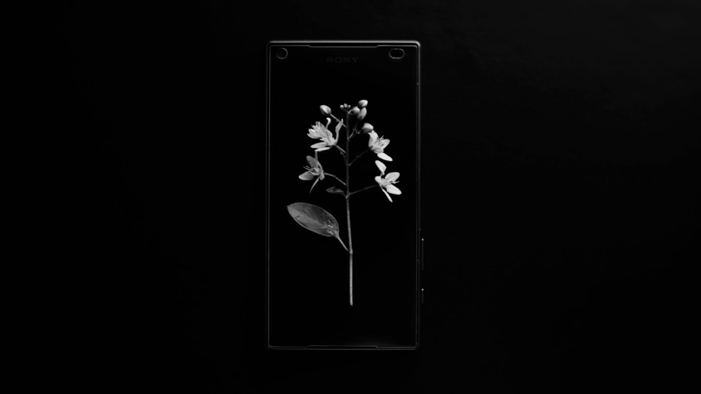 flower phone