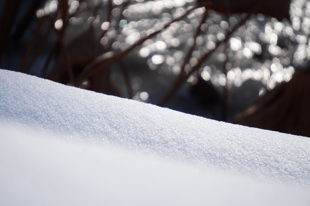 積雪１５㎝強の大雪に見舞われる。