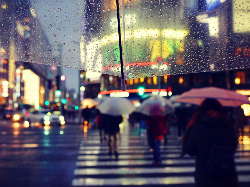 GINZA rainy night (5枚組）