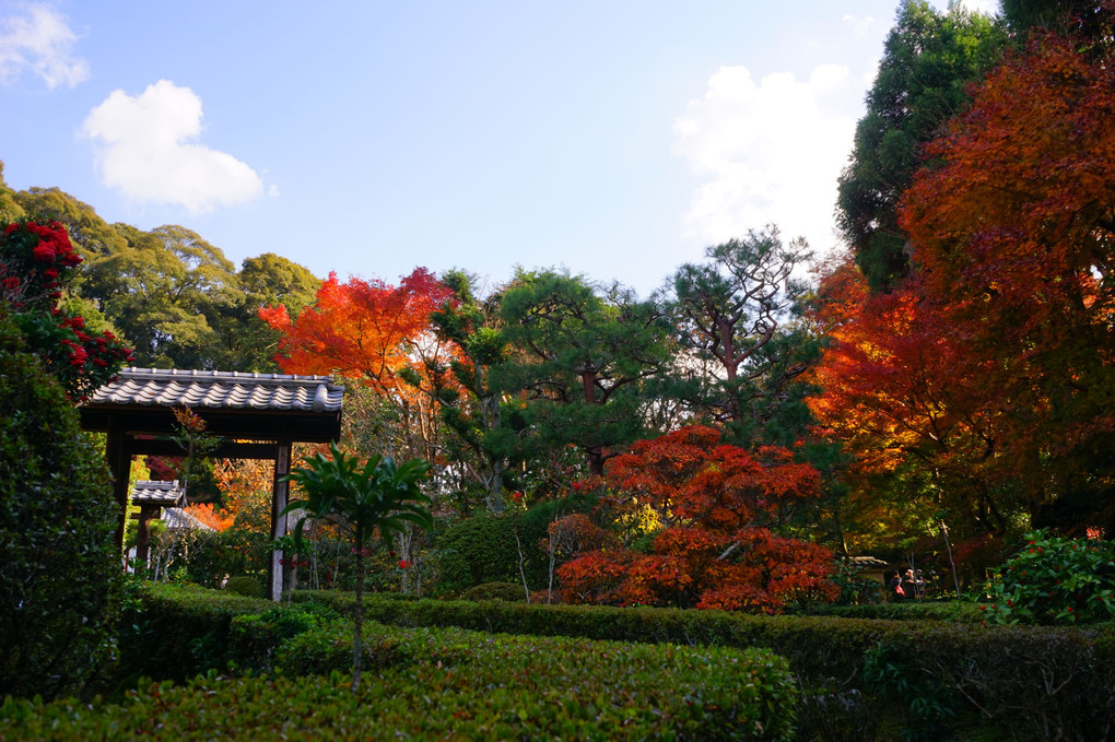 東福寺、即宗院周辺