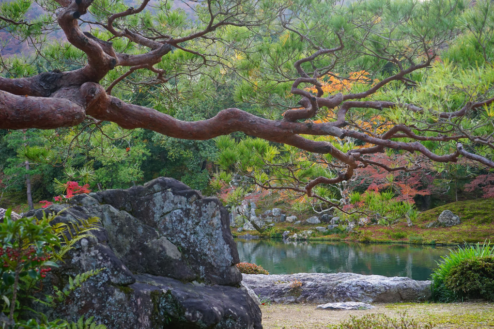 京都、天龍寺