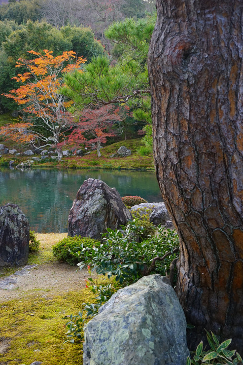 京都、天龍寺