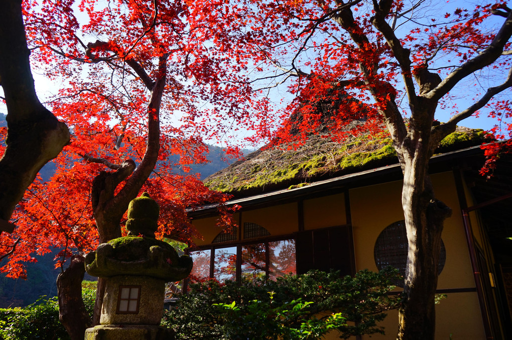 京都嵐山にて