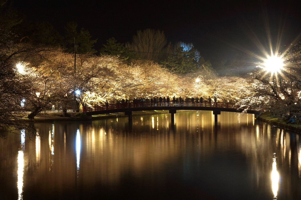 弘前城夜桜 (春陽橋)