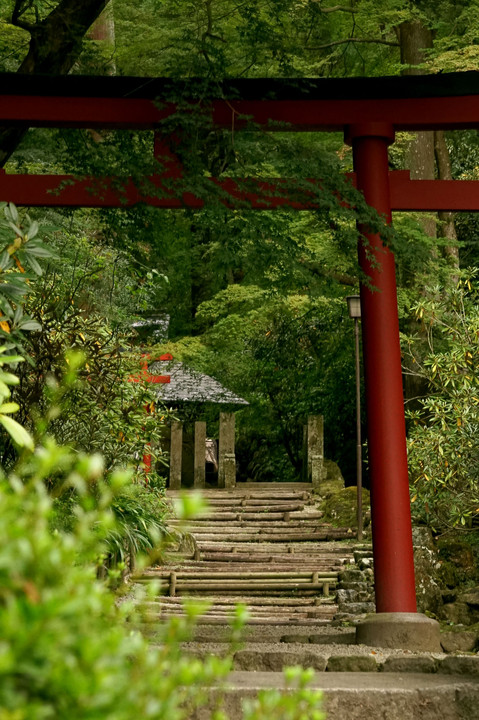 明日香村　岡寺にて