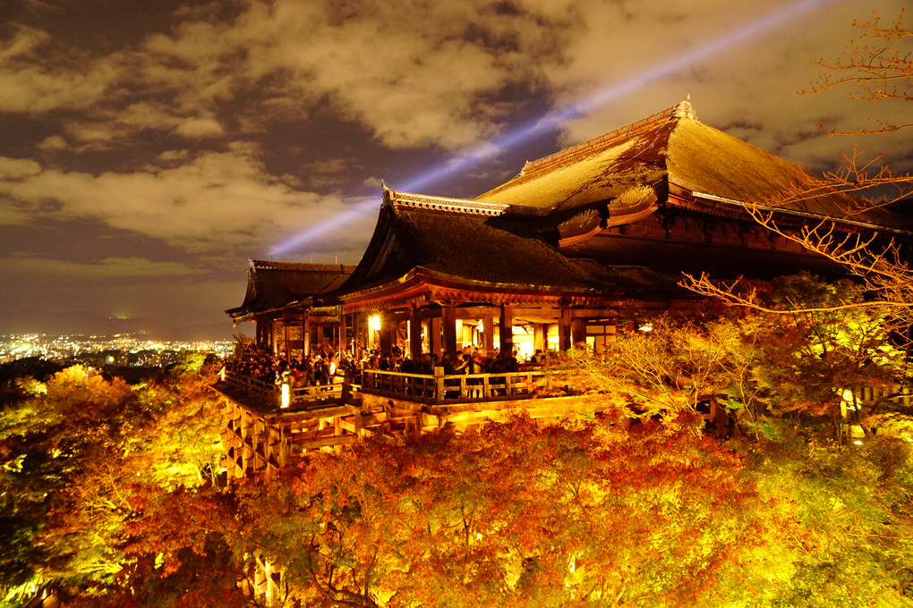 秋の清水寺ライトアップ