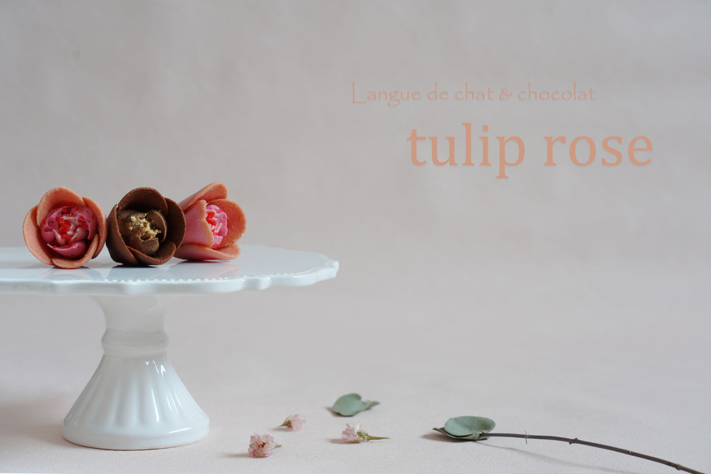tokyo tulip rose