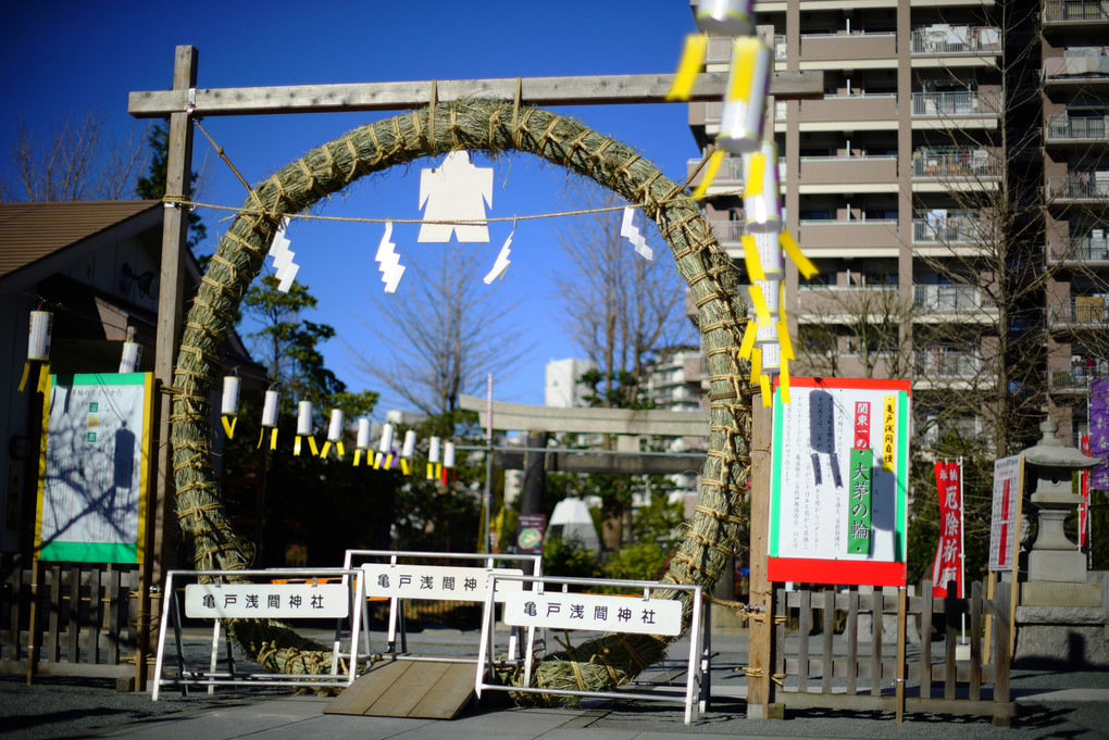 関東一の大茅の輪