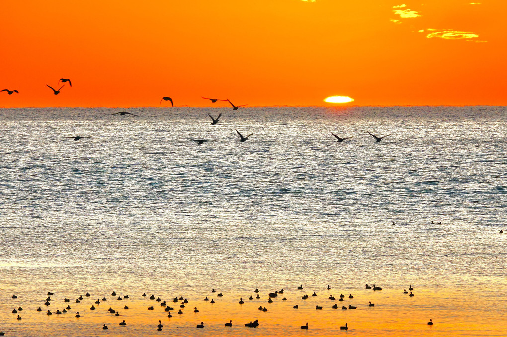 銀の海 日落ち帰る鳥 追うクジラ