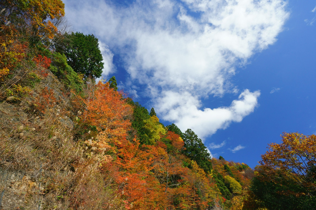 峠の紅葉