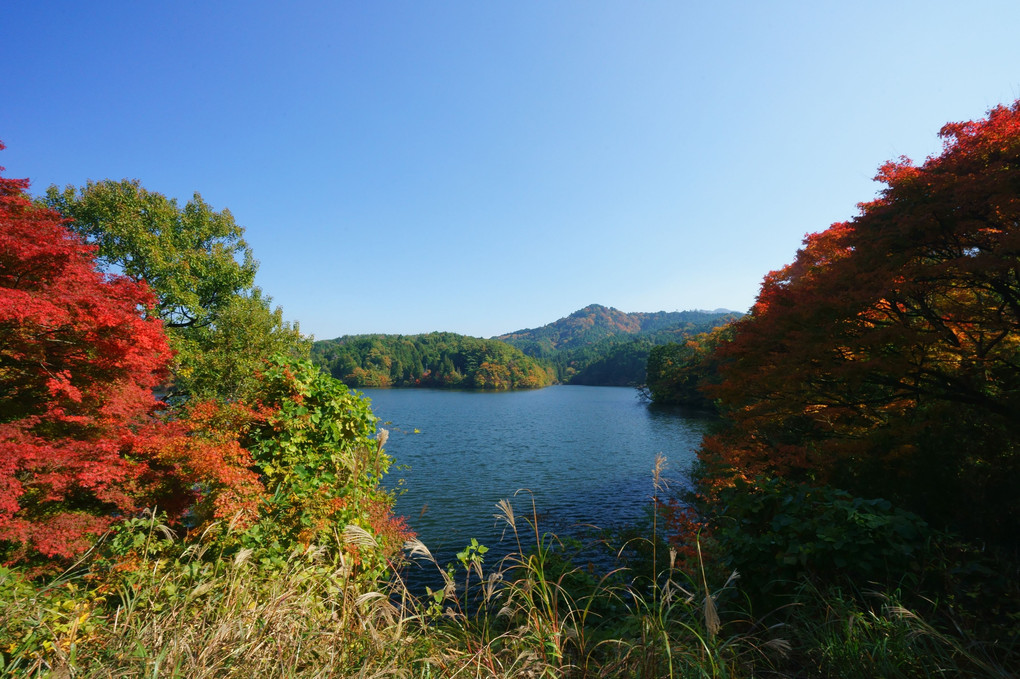 紅葉日和