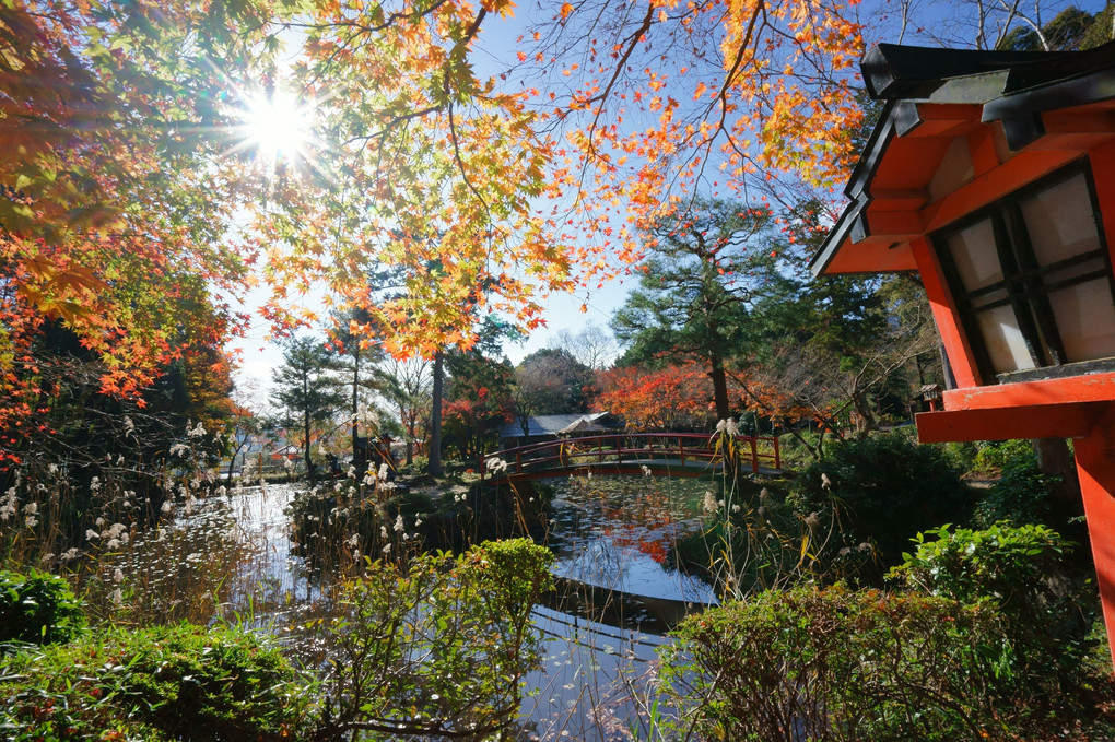 大原野紅葉散策