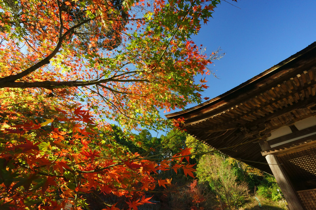 三山巡り