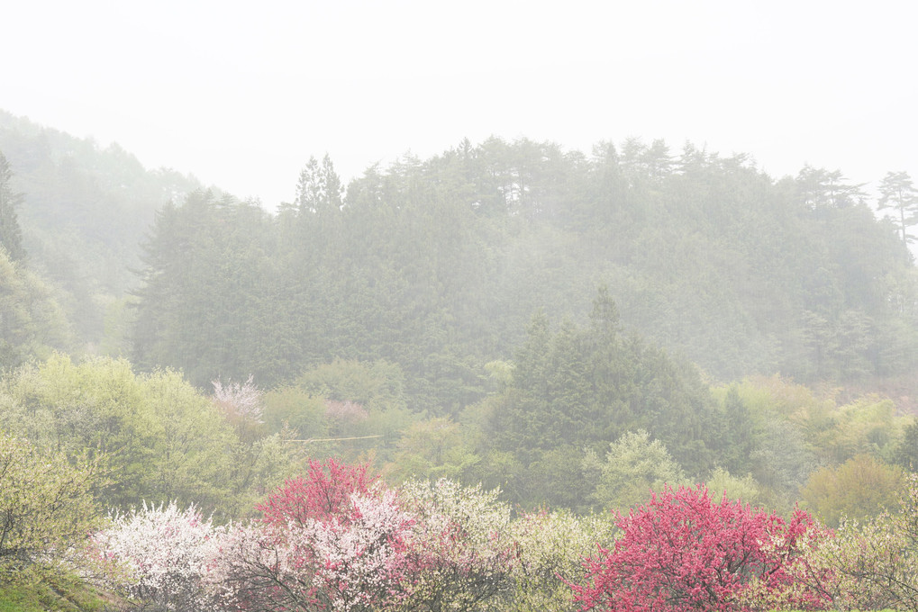 雨の中で