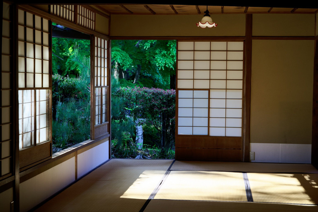 和室からの風景