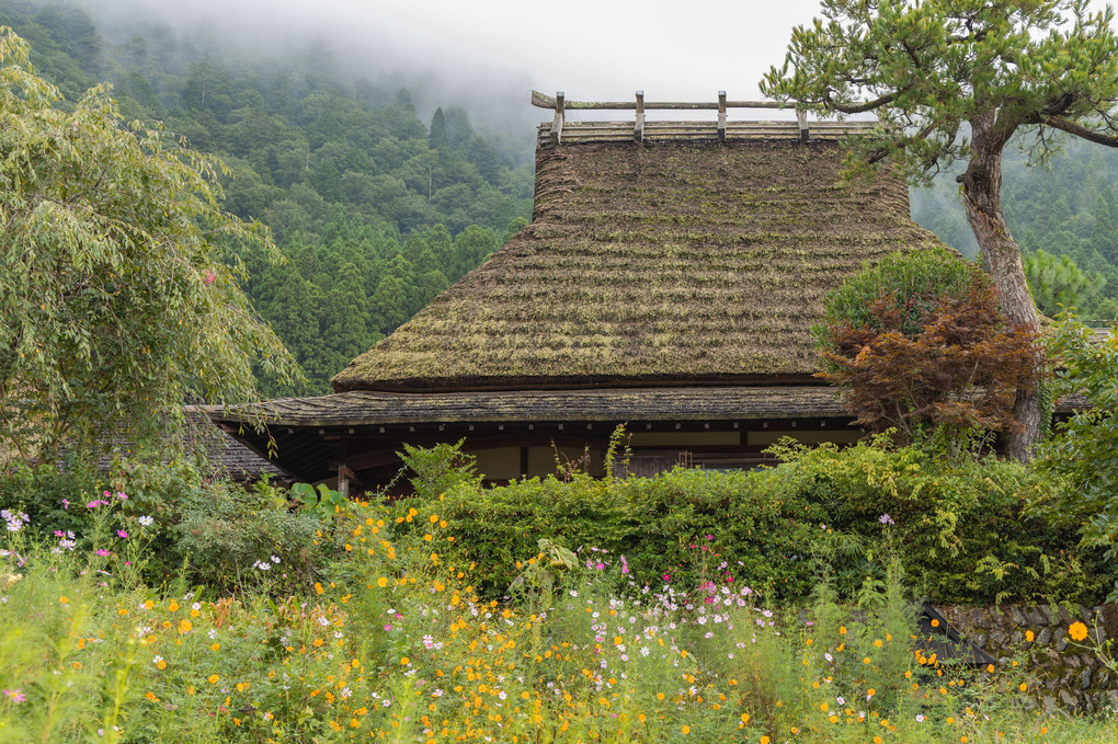 茅葺の里　- 秋 -