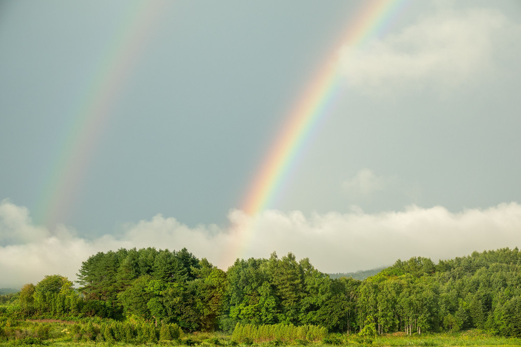 虹🌈