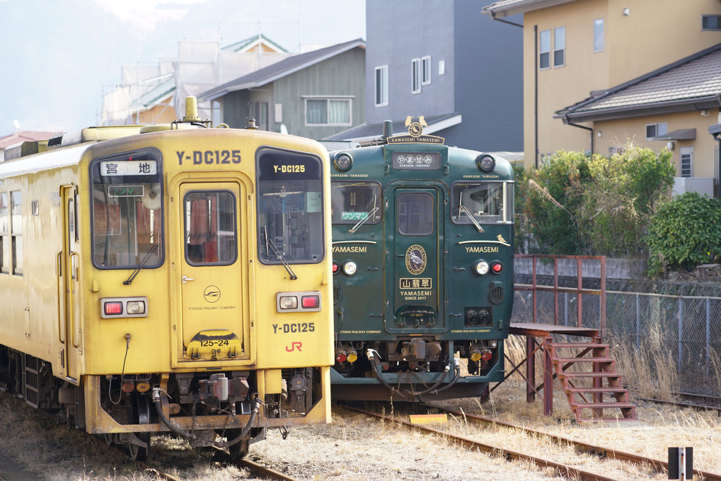 地元にやってきた観光列車かわせみ＆やませみ