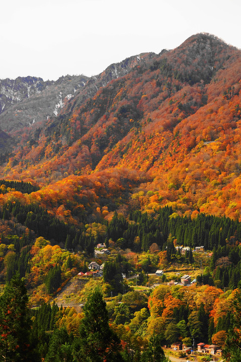 里山の秋