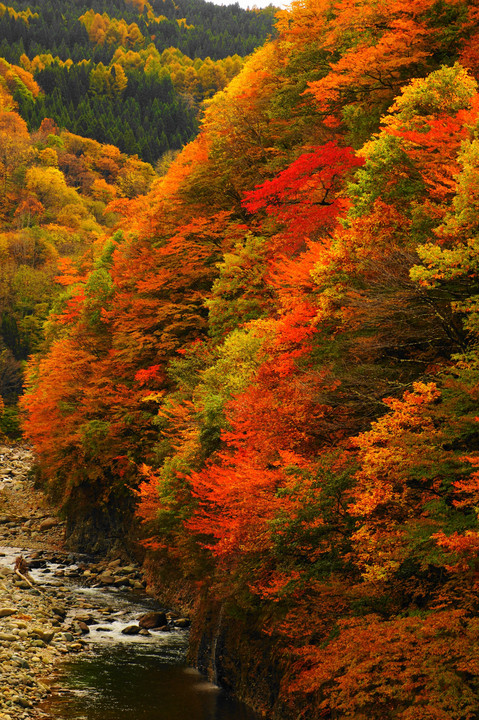 里山の秋