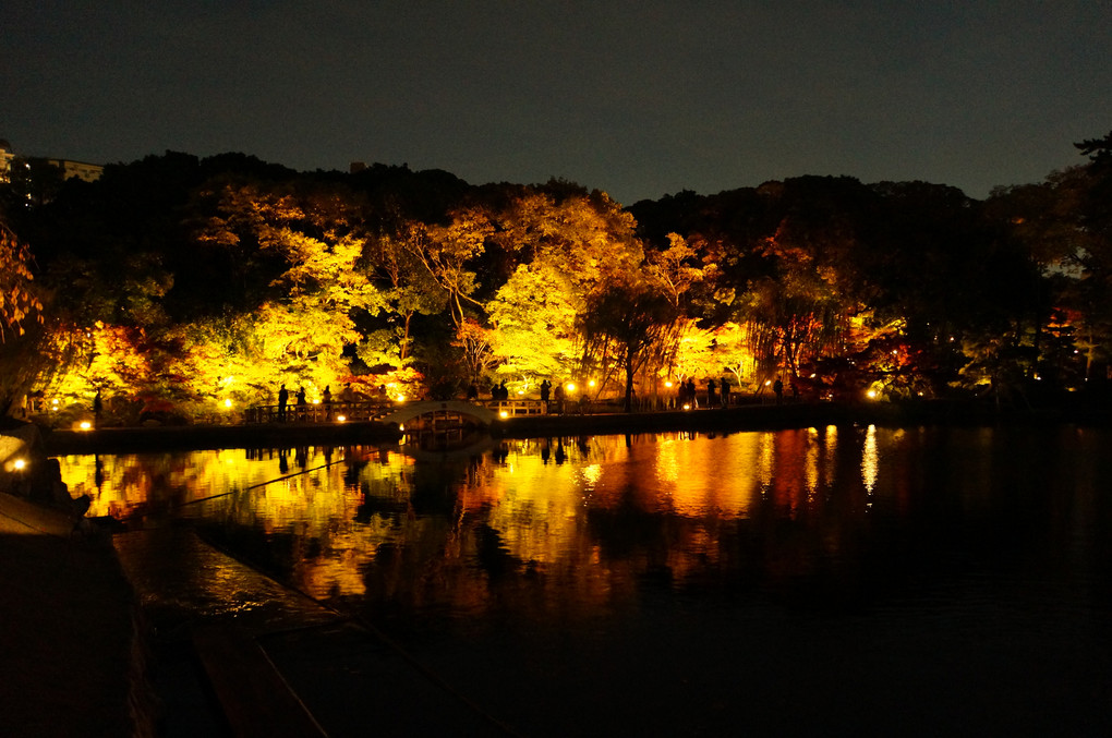夜の徳川園