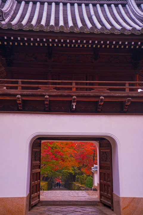 宇治興聖寺山門からの紅葉