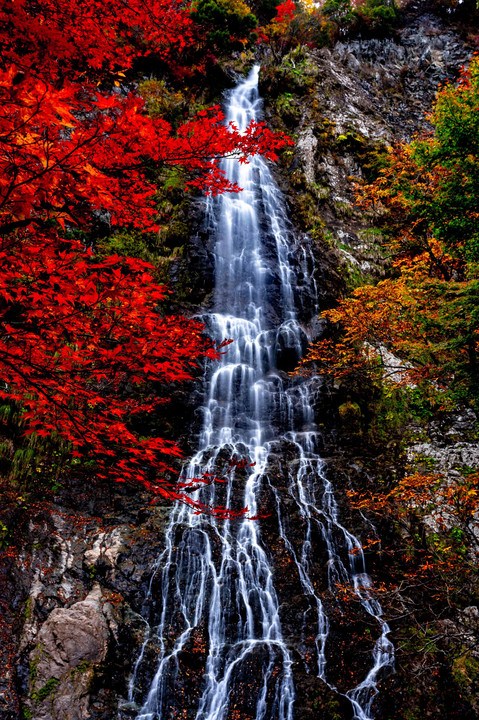 紅葉の天滝