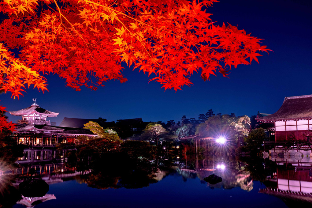 夜の平安神宮