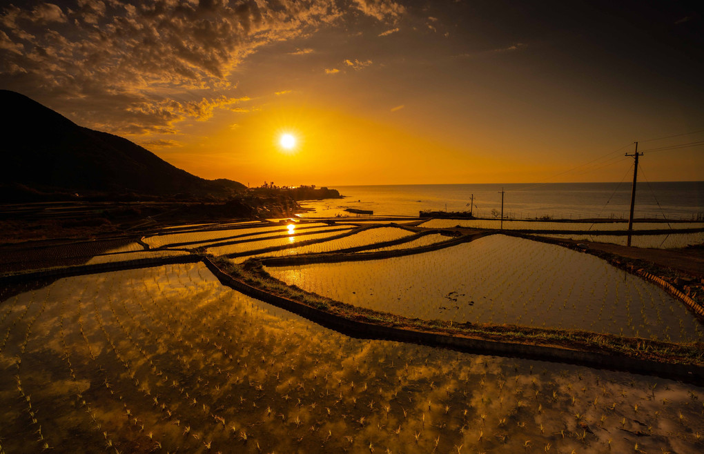 棚田の夕景