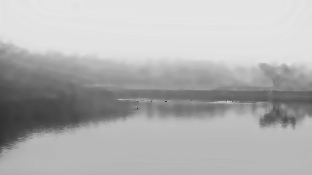 A Mist of Grey Light